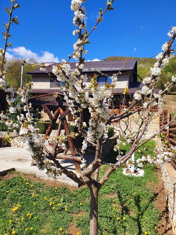 Rooms Poienita Slănic-Moldova Zewnętrze zdjęcie