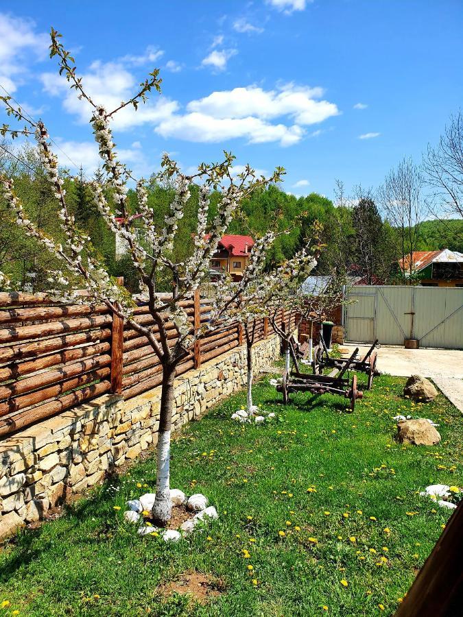 Rooms Poienita Slănic-Moldova Zewnętrze zdjęcie